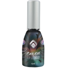 Holografic Cat Eye Top Gel